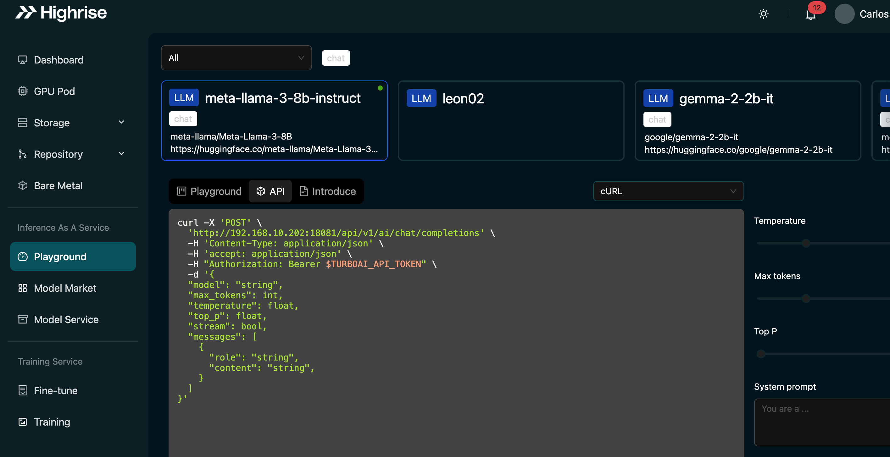 Playground API Tab Screenshot
